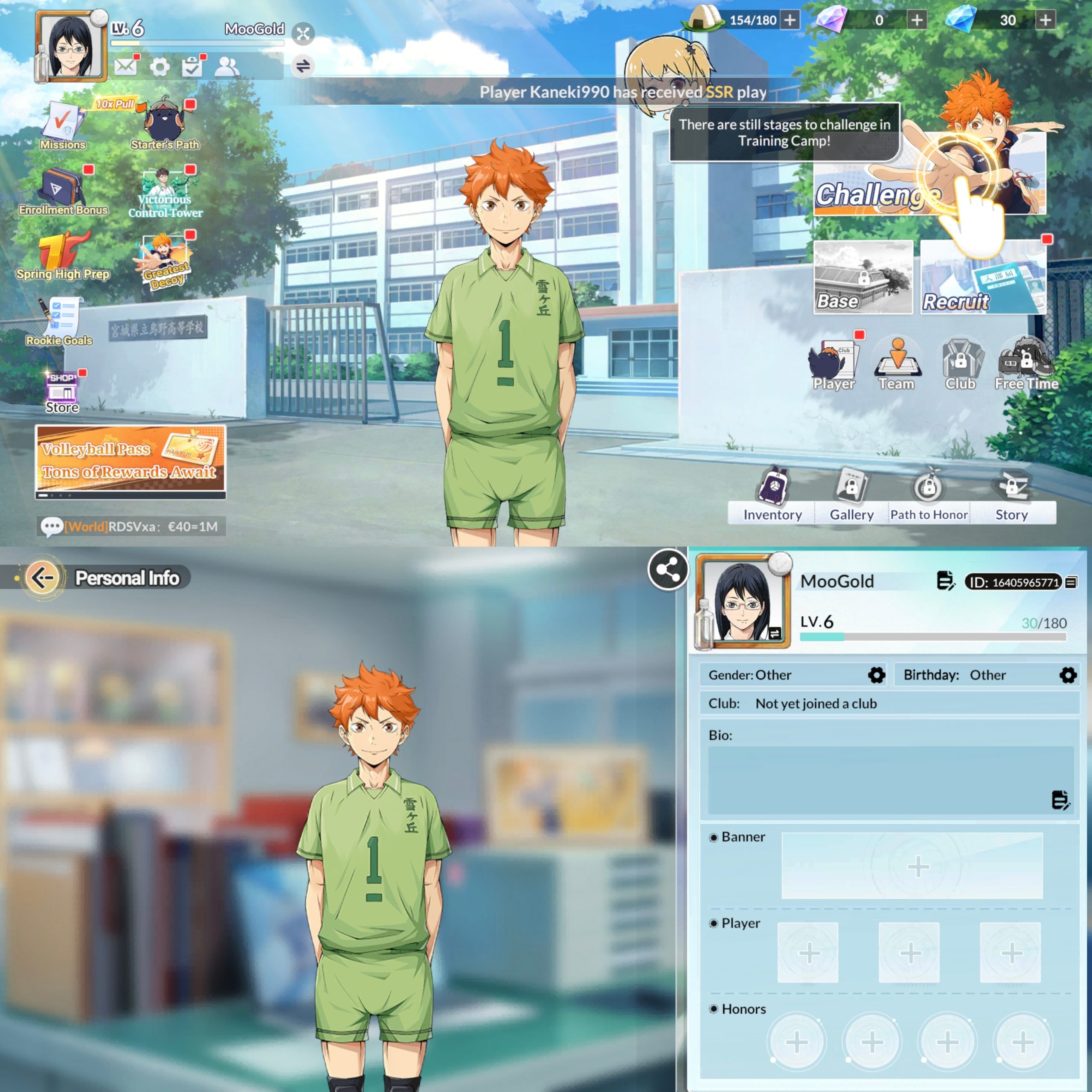 haikyu-fly-high-player-id