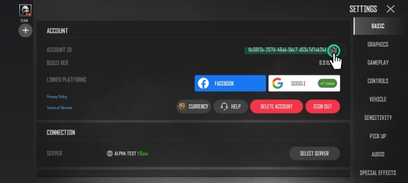 PUBG-New-State-Account-ID-3
