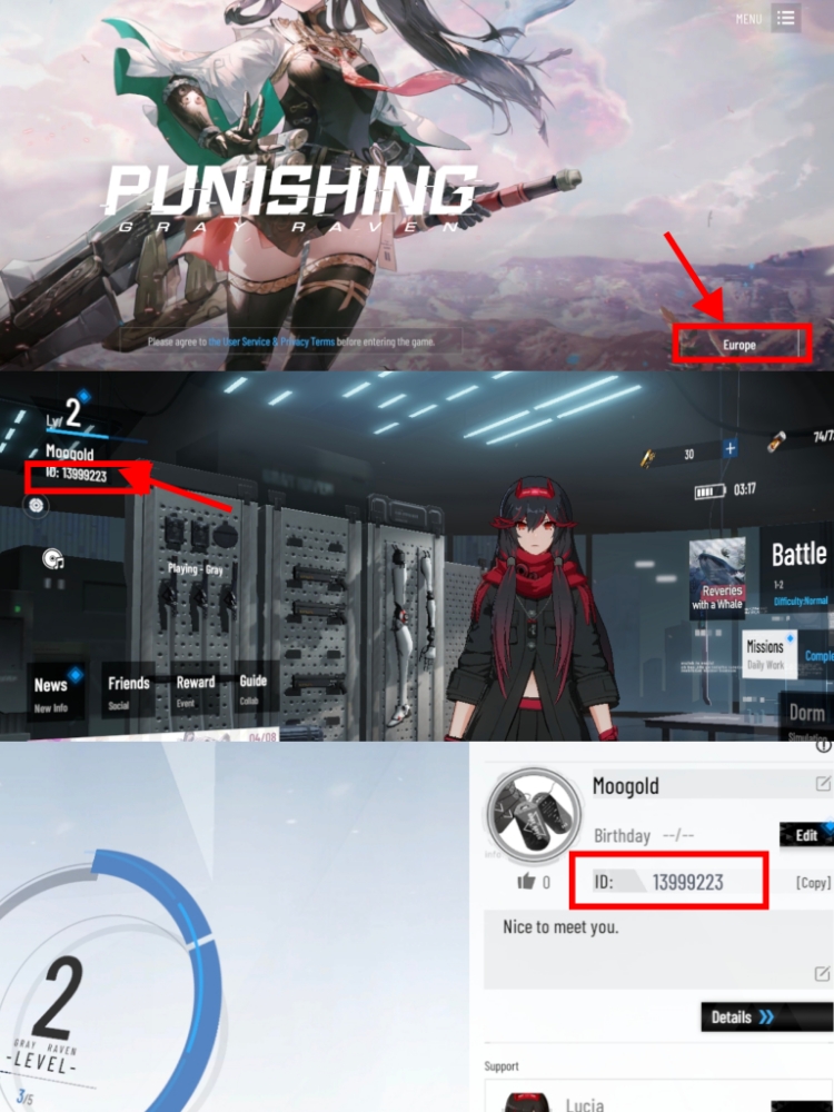 punishing-gray-raven-player-id
