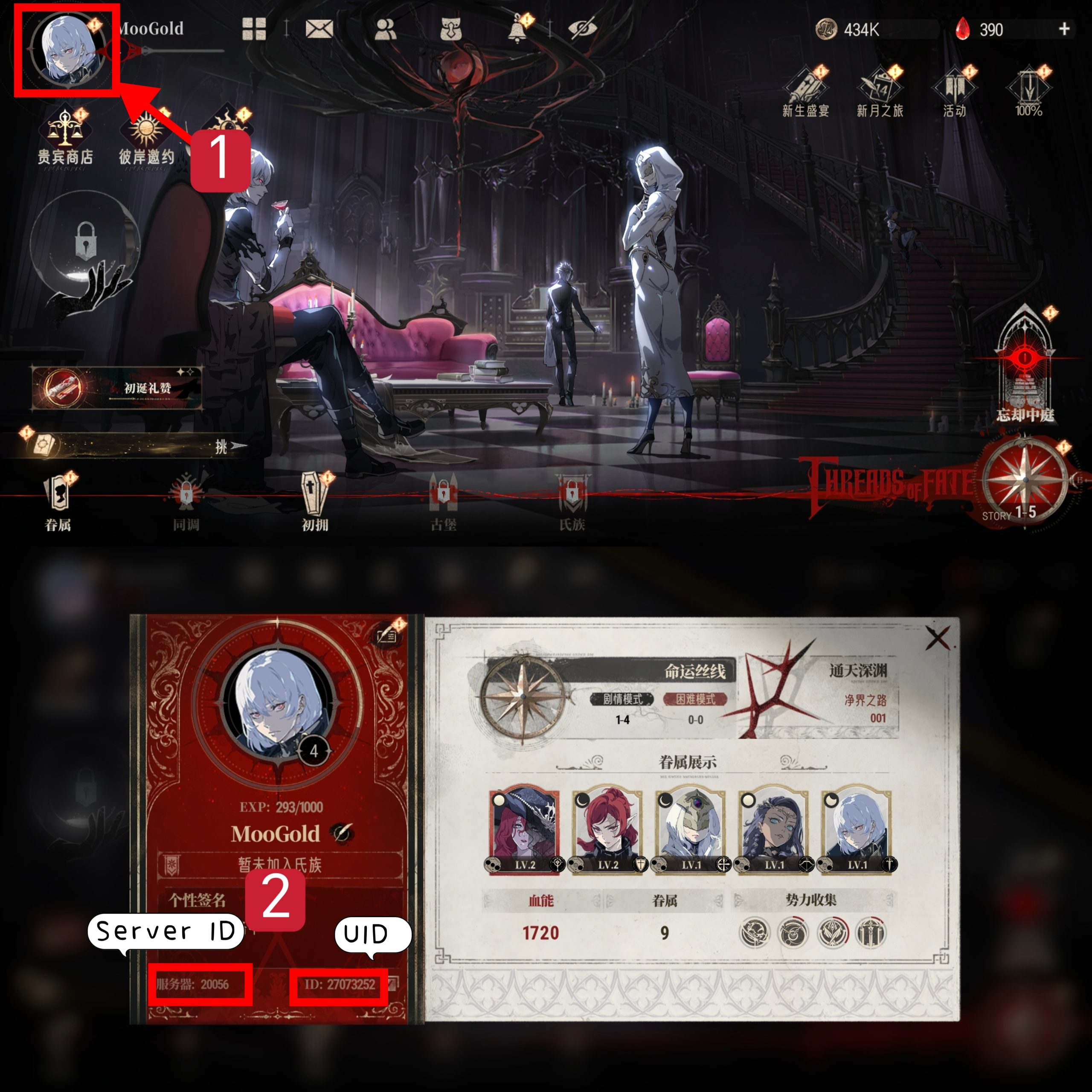 silver-and-blood-player-id