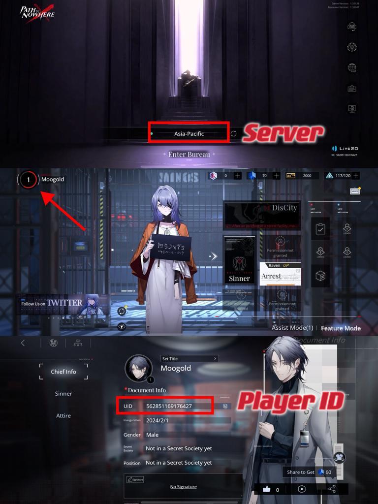 path-to-nowhere-player-id